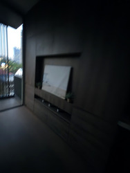10 Evelyn (D11), Apartment #547518111